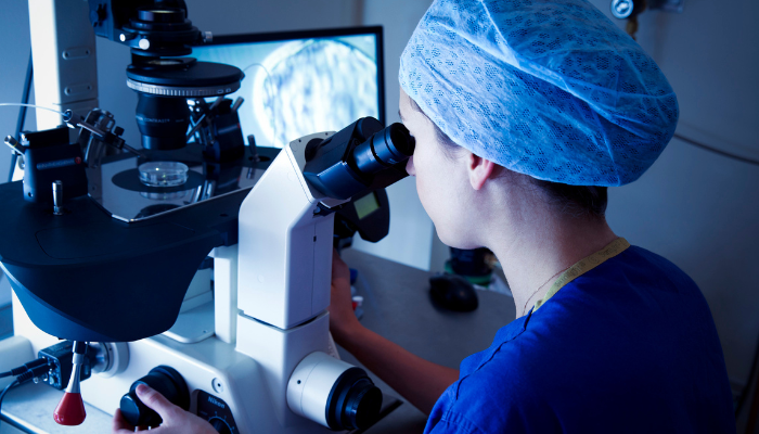 In Vitro Fertilization IVF Treatment